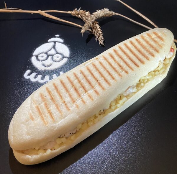 Panini Espagnol